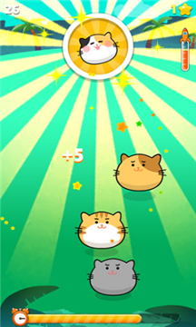 点击猫咪截图3