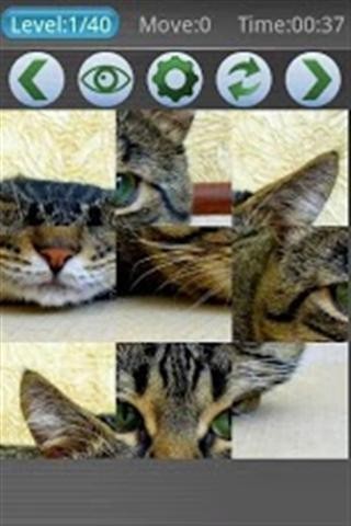 猫谜题截图1