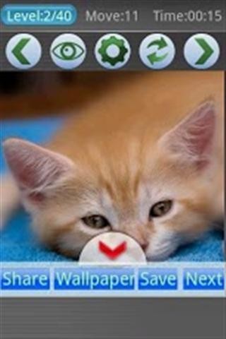 猫谜题截图2