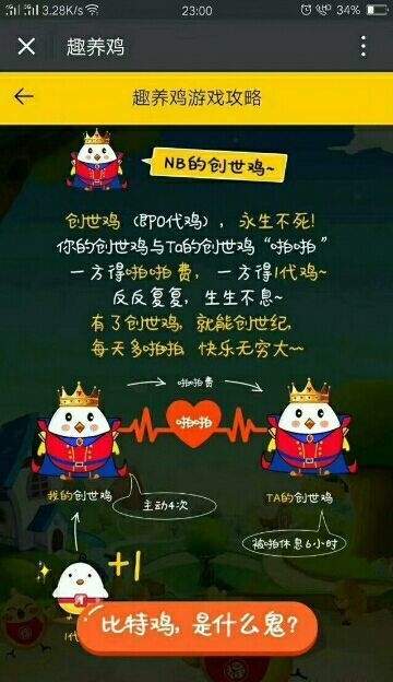 趣养鸡截图2