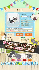 猫咪计步截图4